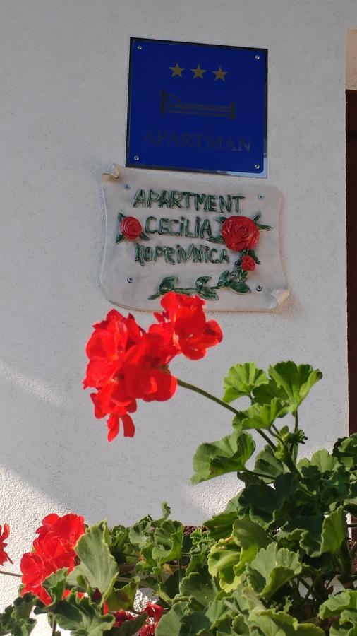Apartment Cecilia Koprivnica Bagian luar foto